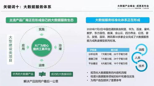 揭秘2020大數(shù)據(jù)十大關(guān)鍵詞 引領(lǐng)計算機軟件與數(shù)據(jù)處理服務(wù)新趨勢