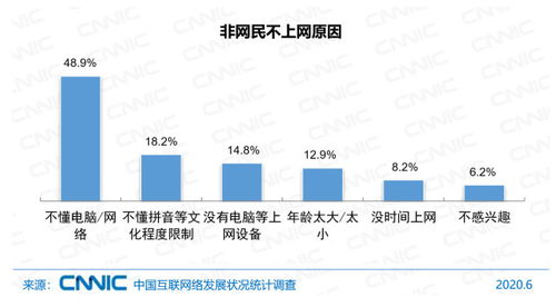 中國互聯(lián)網(wǎng)絡(luò)發(fā)展?fàn)顩r統(tǒng)計報告（2020年第46次） 網(wǎng)民規(guī)模、結(jié)構(gòu)狀況與計算機軟件數(shù)據(jù)處理服務(wù)分析